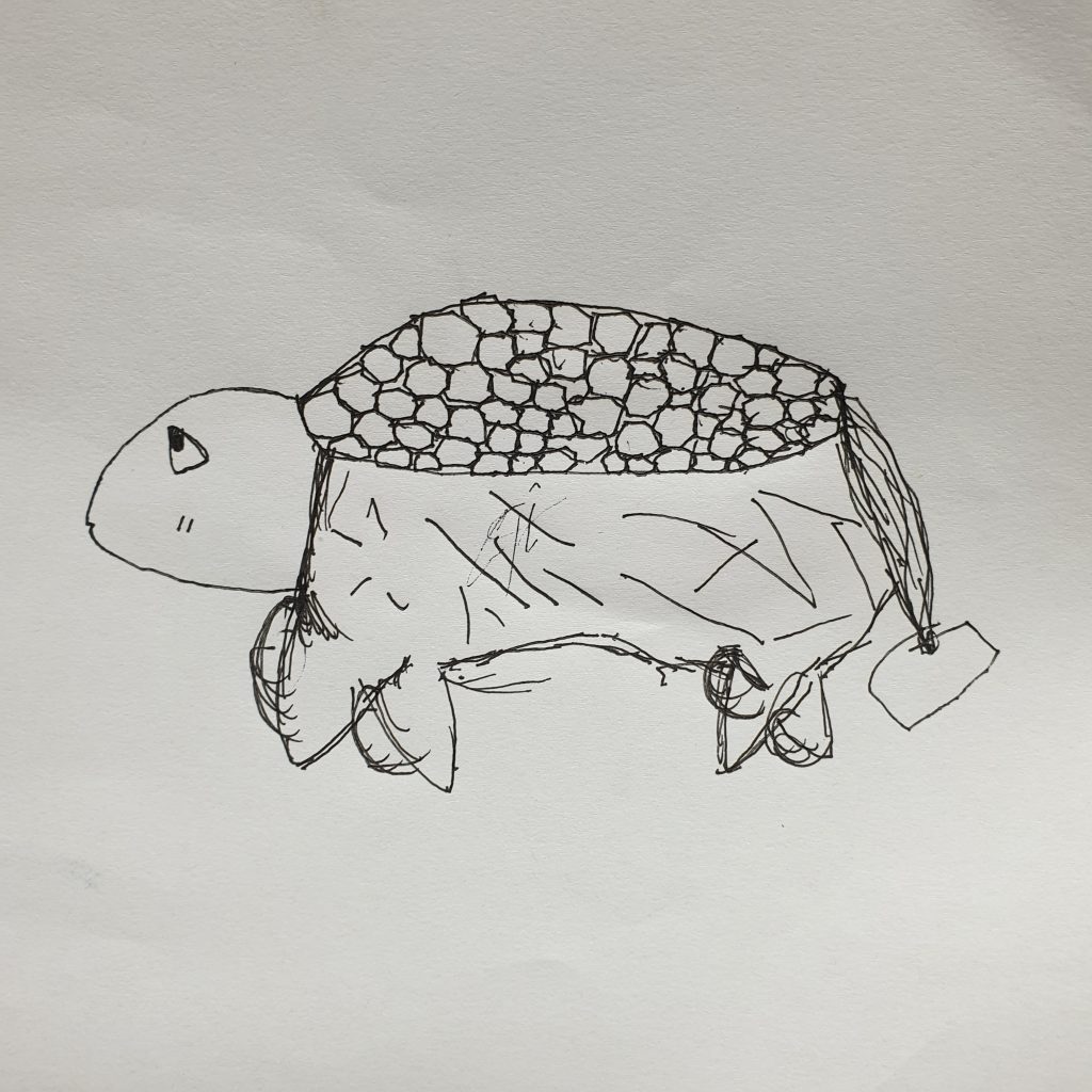 거북이